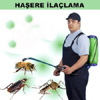 Bolu Böcek İlaçlama
